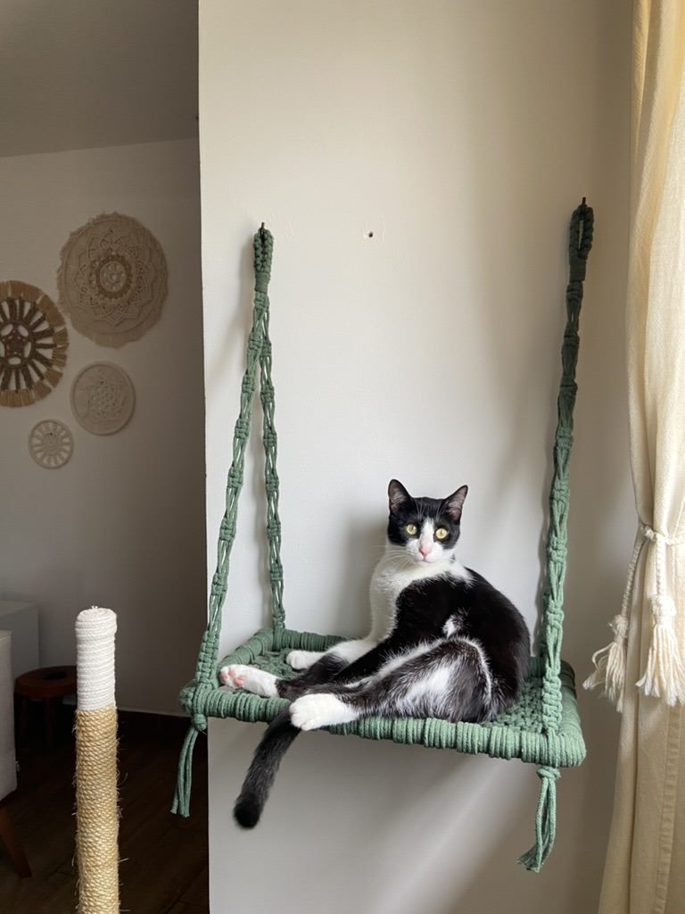Peça de decoração em macramê
